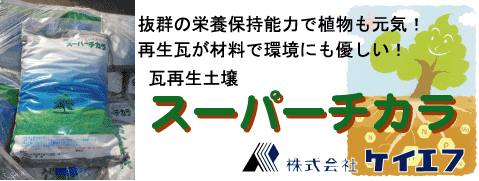 ���Đ��y��@�X�[�p�[�`�J��