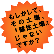 ���̓y��A�_���y�낶��Ȃ��ł����H