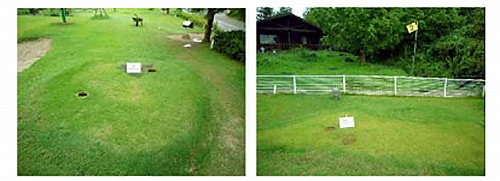2006年9月13日 コア抜き写真。