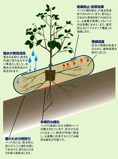 図解　EG植栽パック