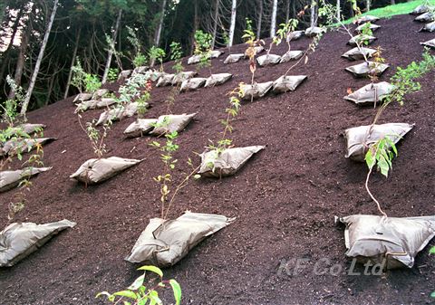 EG植栽パック　施工事例　切土のり面　施工直後