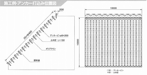 植物育成関連　ポリブラウン 施工例　アンカー打込み位置図